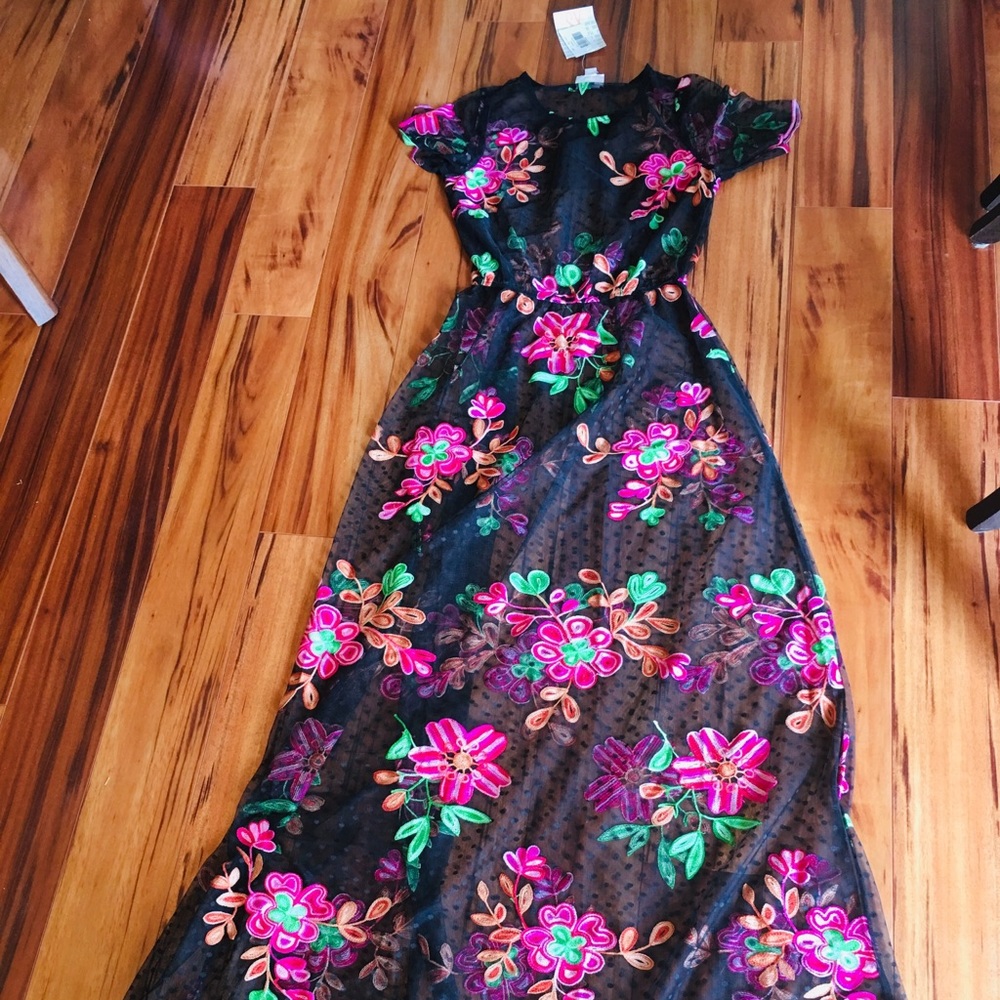 LulaRoe Sheer Dress